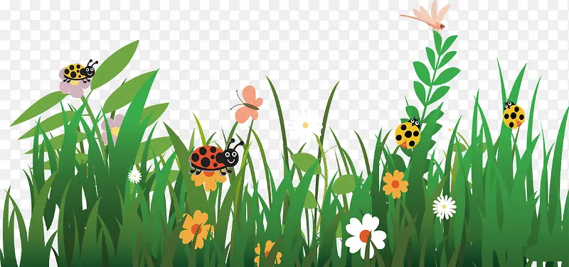 ����Ļ�԰ʸ��-������