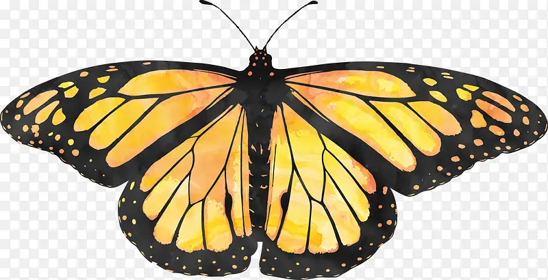 ����-������