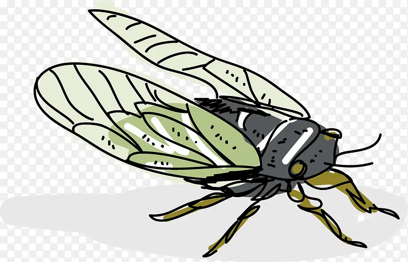 ��ɫ�߿�ʸ����ͨ��-������