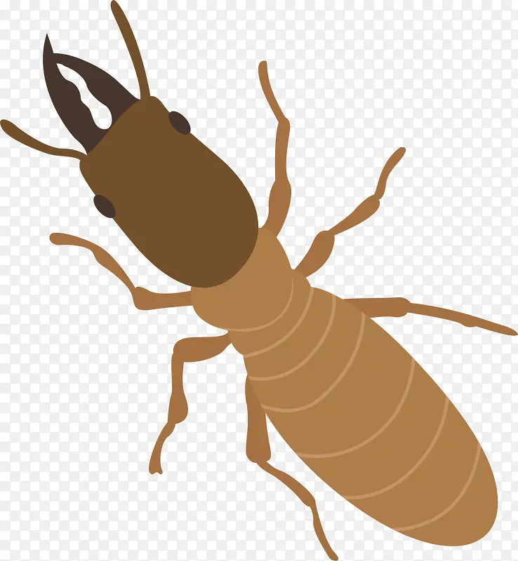 �׳�ʸ����ͨ����-������