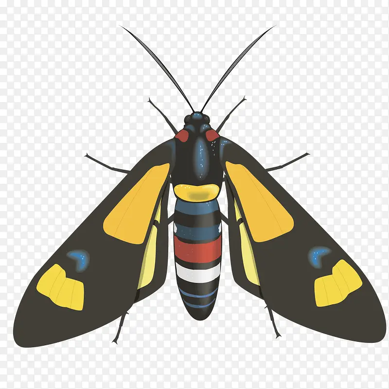 ����-������