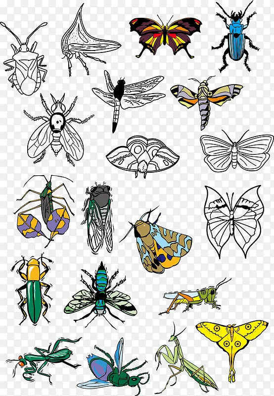 ��������ϼ�-������