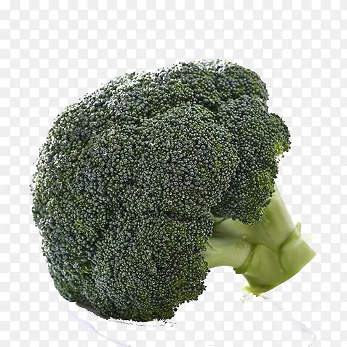 �������߲�-������