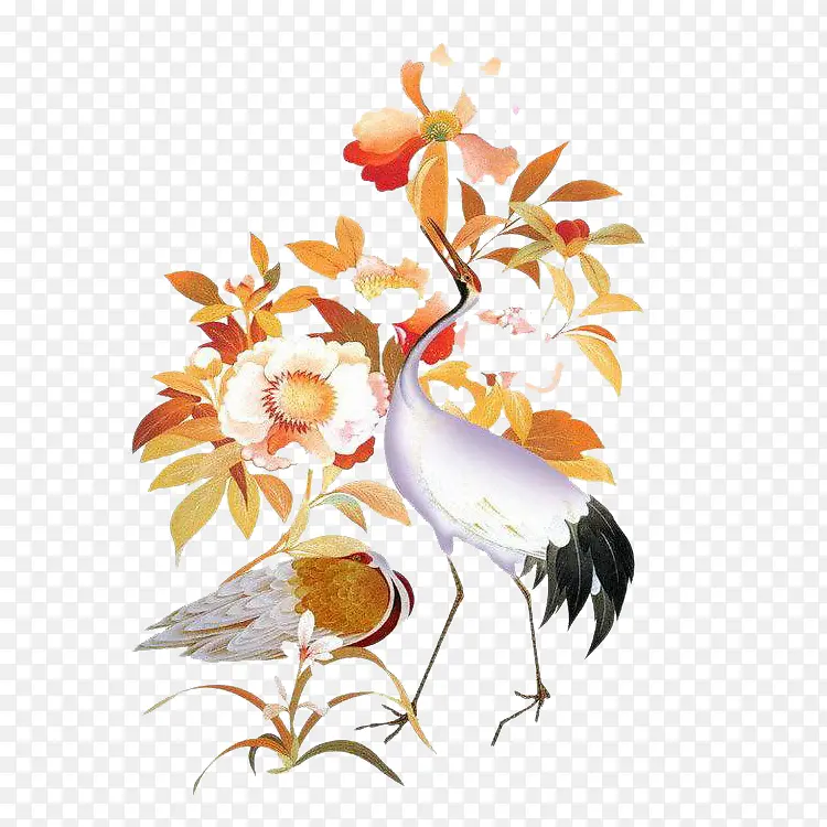 ������ˮ�ʻ�������-������