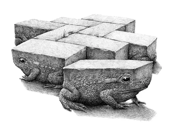 ���軭�廭����-������