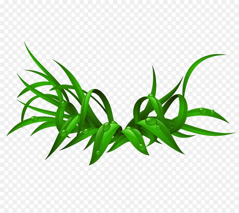 �糿��С��-������