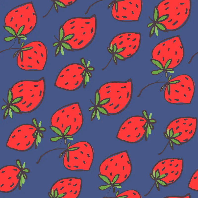 ��ͨ��ݮ����-������