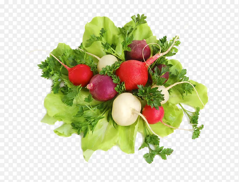 ��ɫ�߲�-������