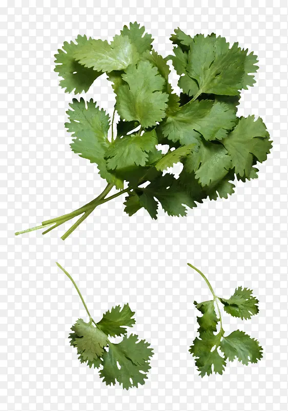 ��ζ���-������