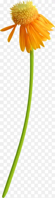 ��ɫ�ջ�-������