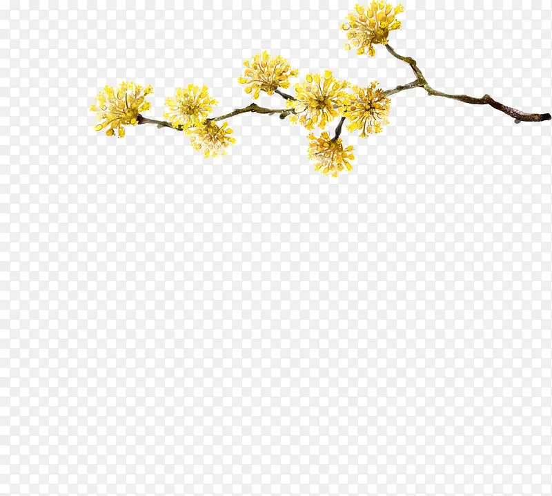 ��ɫ�ջ�����װ����֦-������