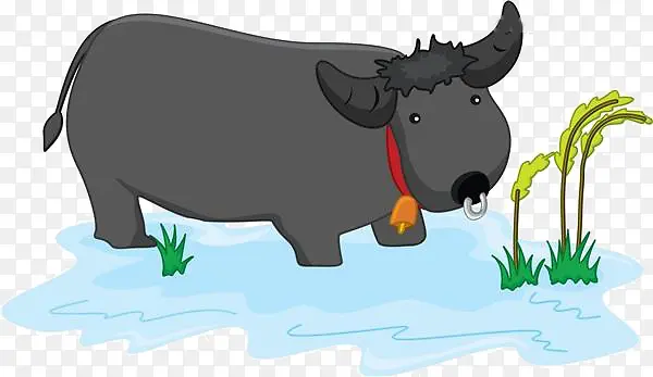 ��ͨ�����Բ��ز�-������