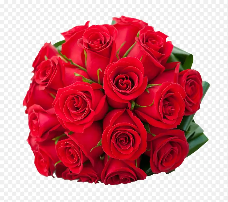 һ��õ�廨-������