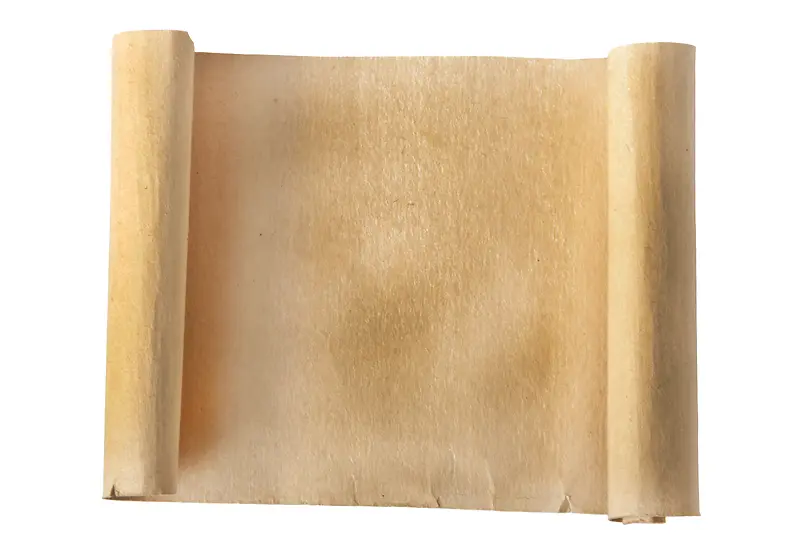 ��Ƥֽ���ᱳ��-������