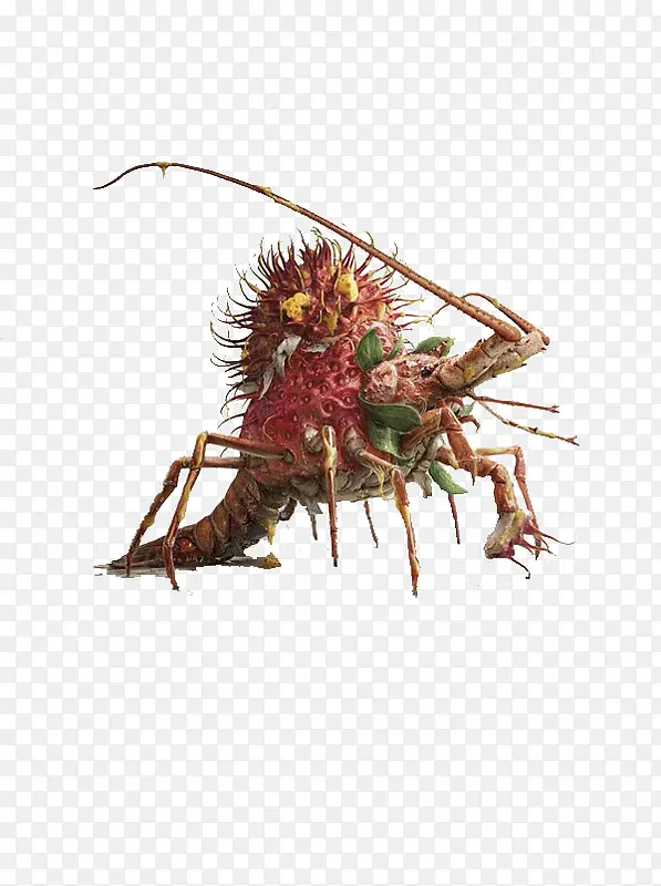 ���⺣�ʴ�-������