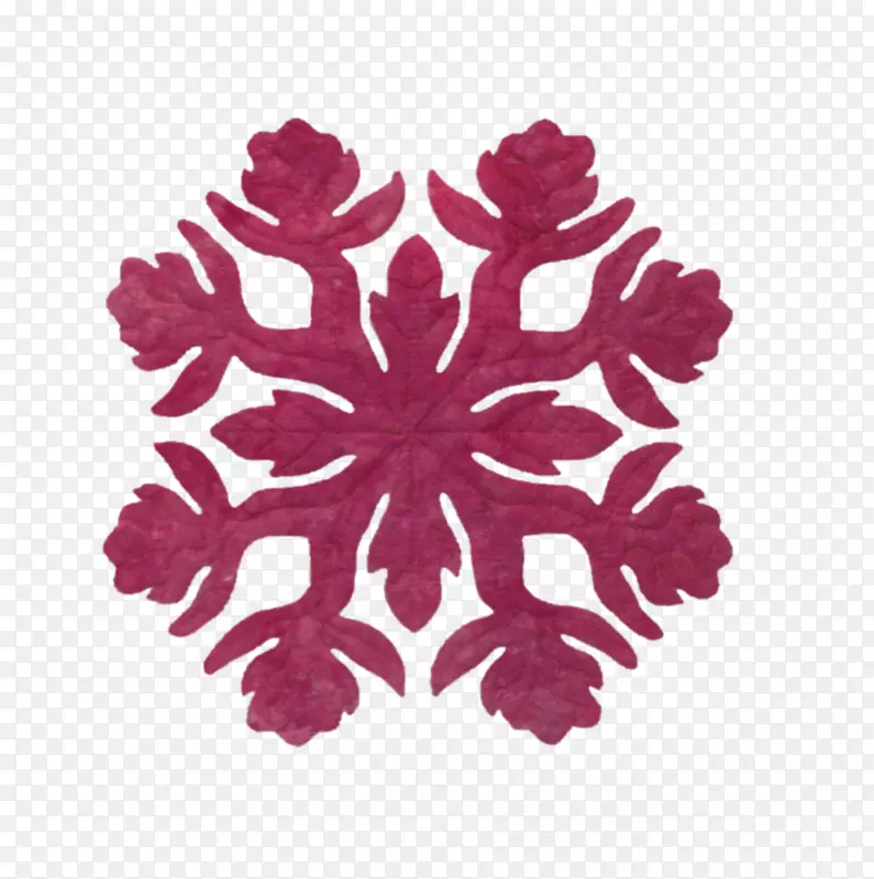 ��״��־������ѧ-Monstera-������