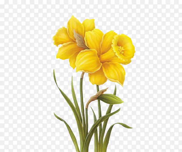 �ֻ滨��-������