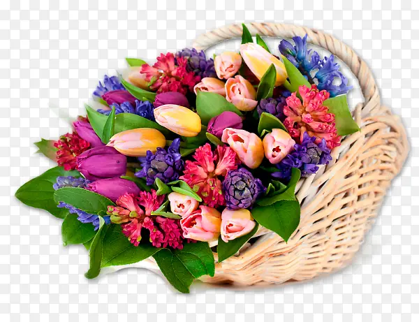 ��ʻ���-������