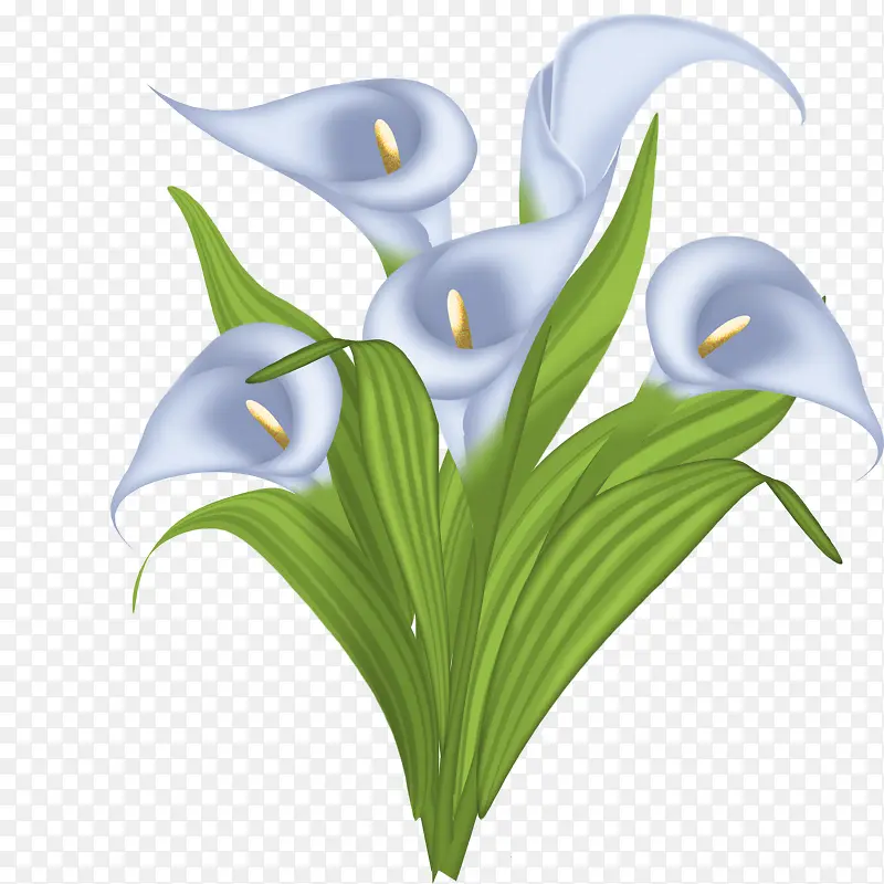 ��ɫ������-������