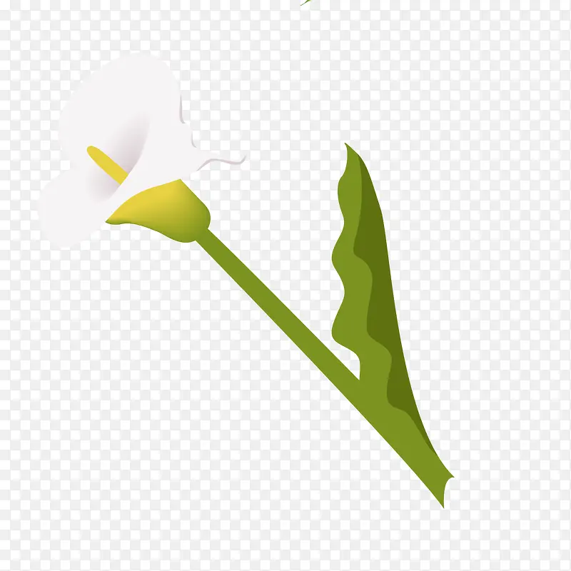 ��ɫ������-������