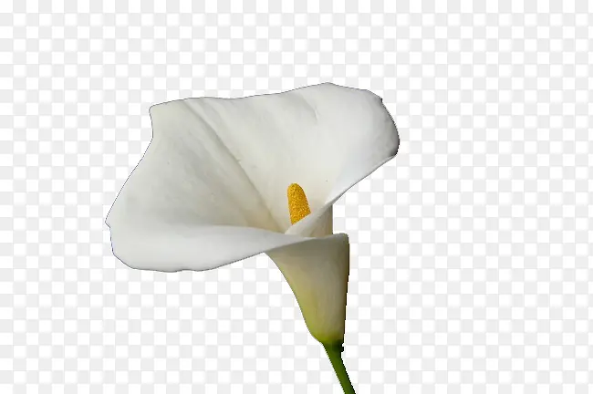 ������-������