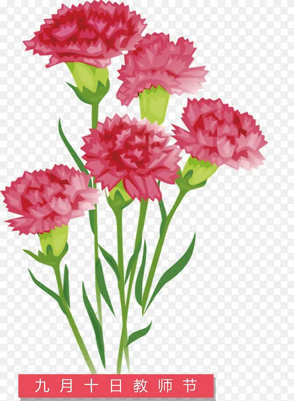 �ֻ濵��ܰ����-������