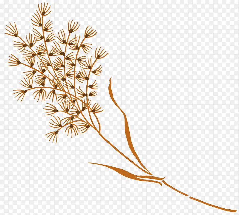 ���ղ廭�������ز�-������