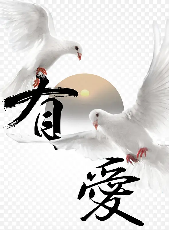 �����а�-������