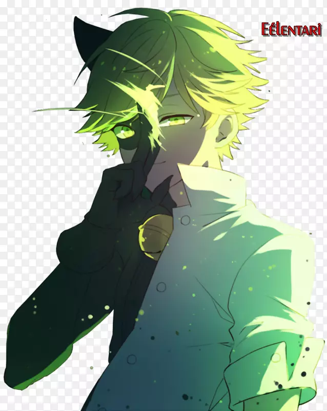 �����ﰲ���������������è����-������