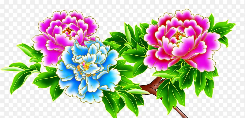 ��ɫ��-������