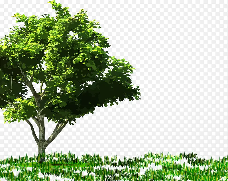 ����-������