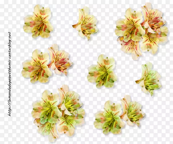 �����������-������