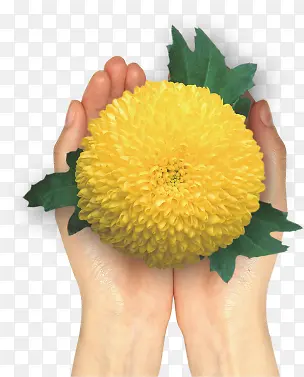 ������-������