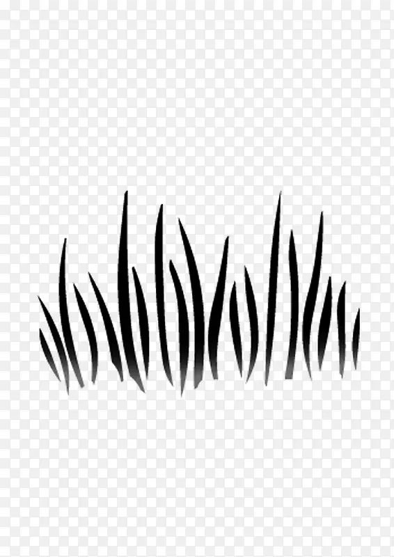 �滭ֲ�� С�� ���� �ڰ�-������