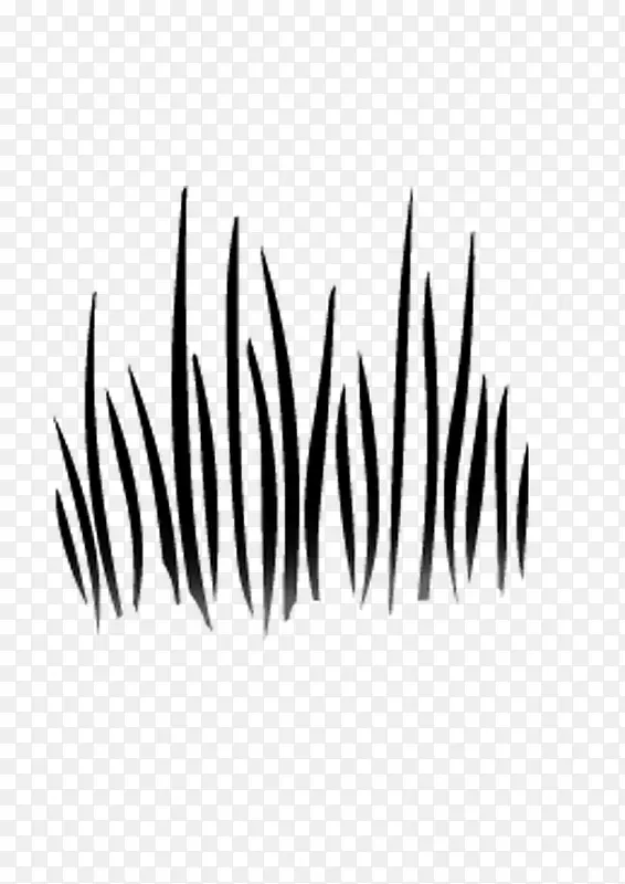 �滭ֲ�� С�� ���� �ڰ�-������