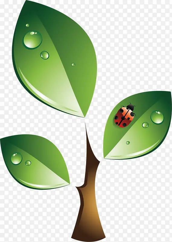 ��ɫ��Ҷ����-������