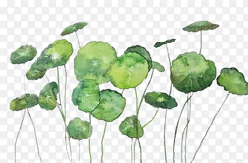 С�����ֻ��ز�-������