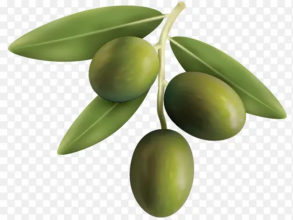 ��ͨ����������֦-������