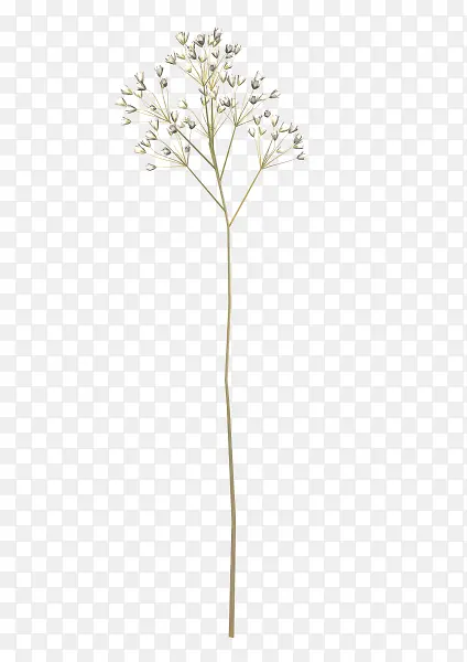 ��ɫС����ͨ-������