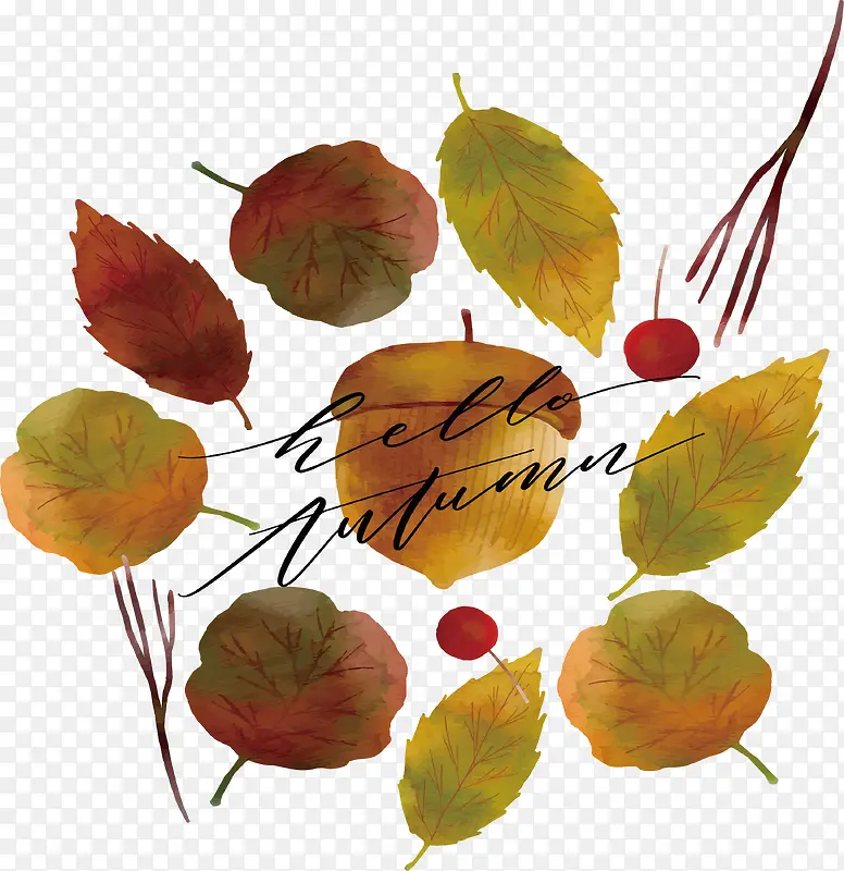 ˮ�������Ҷ-������