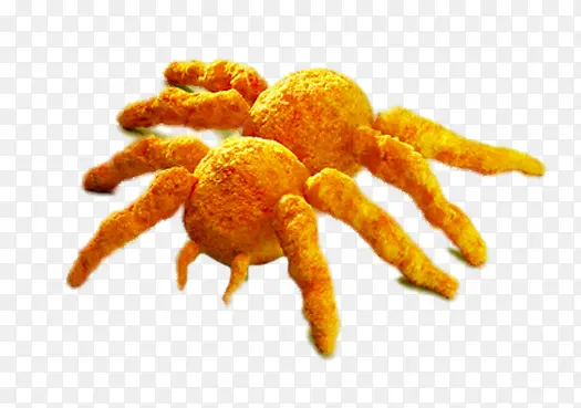 ������ը֩����״��ʳ��-������