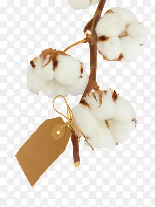 �����޻�-������