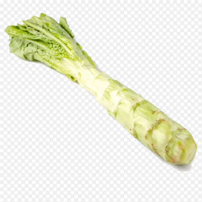 ݫ���ز�-������