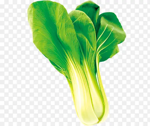 һ���Ͳ�-������