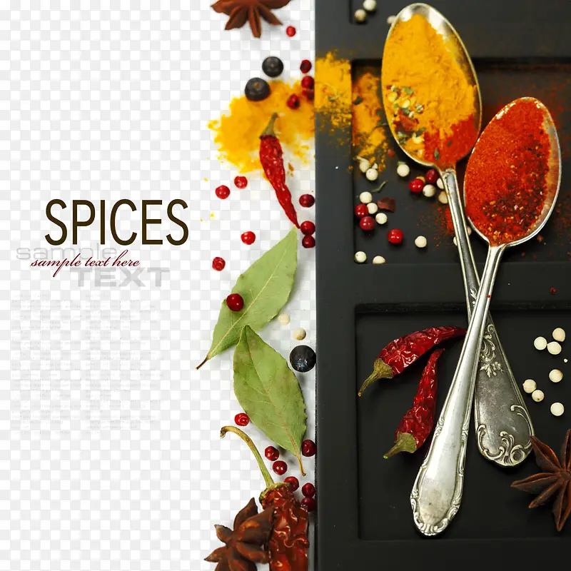 ʳ����Ӱ����-������