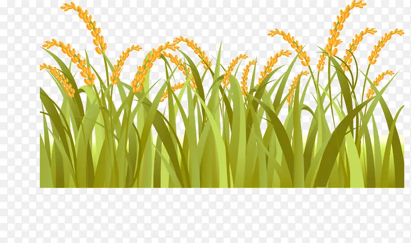 �̲ݵ�ũ��-������