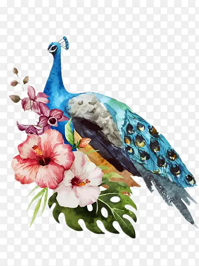 ��ȸ-������