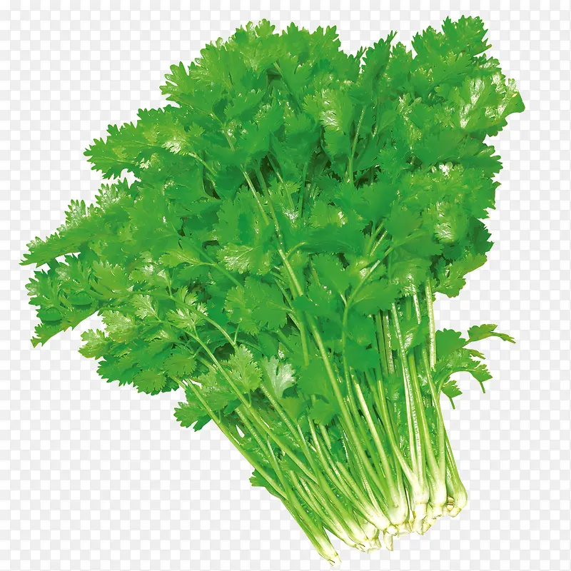 �������-������