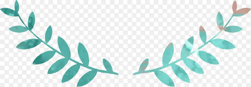 ҳ�涥��Ҷ��װ��-������