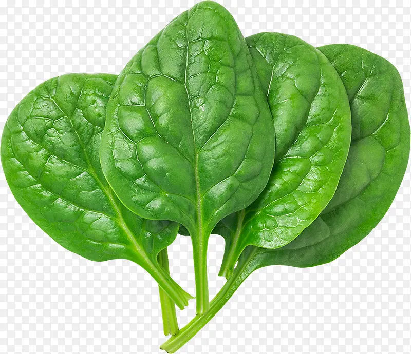 ��Ʒʵ���Ҷ��-������